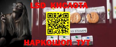 гидропоника Брянск