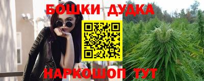гашик Владивосток