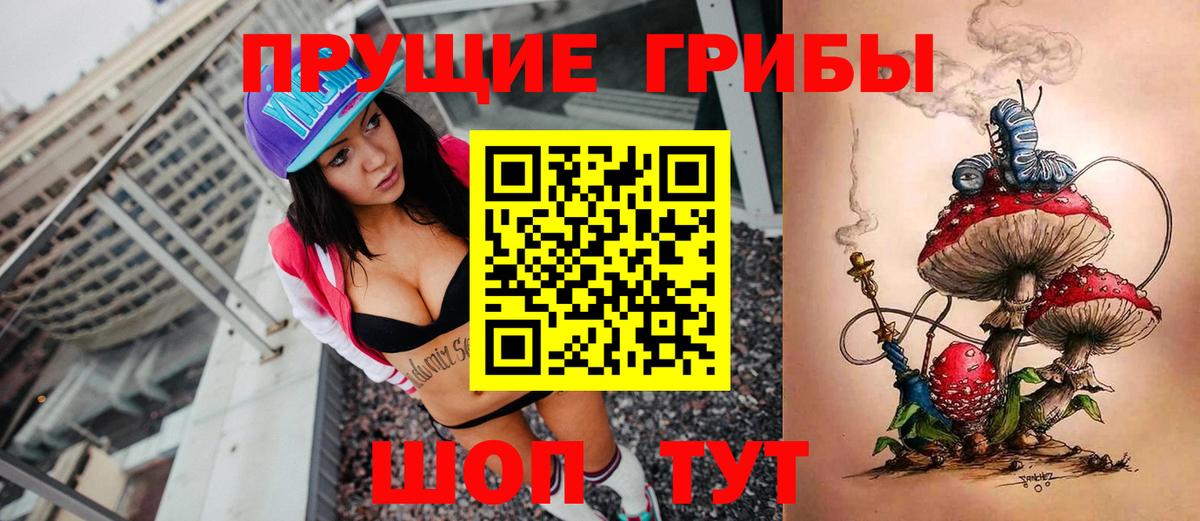Псилоцибиновые грибы GOLDEN TEACHER  Вход с VPN  Галлюциногенные грибы MAGIC MUSHROOMS  Ливны 